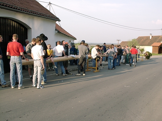 Maibaumaufstellen 30.4.2011